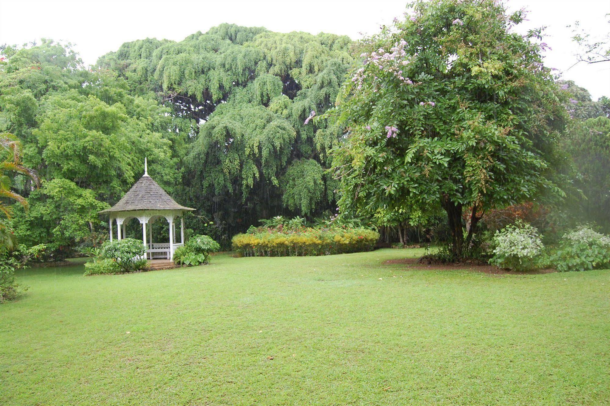 Inn At Shaw Park Gardens & Waterfalls Ocho Rios Exterior photo