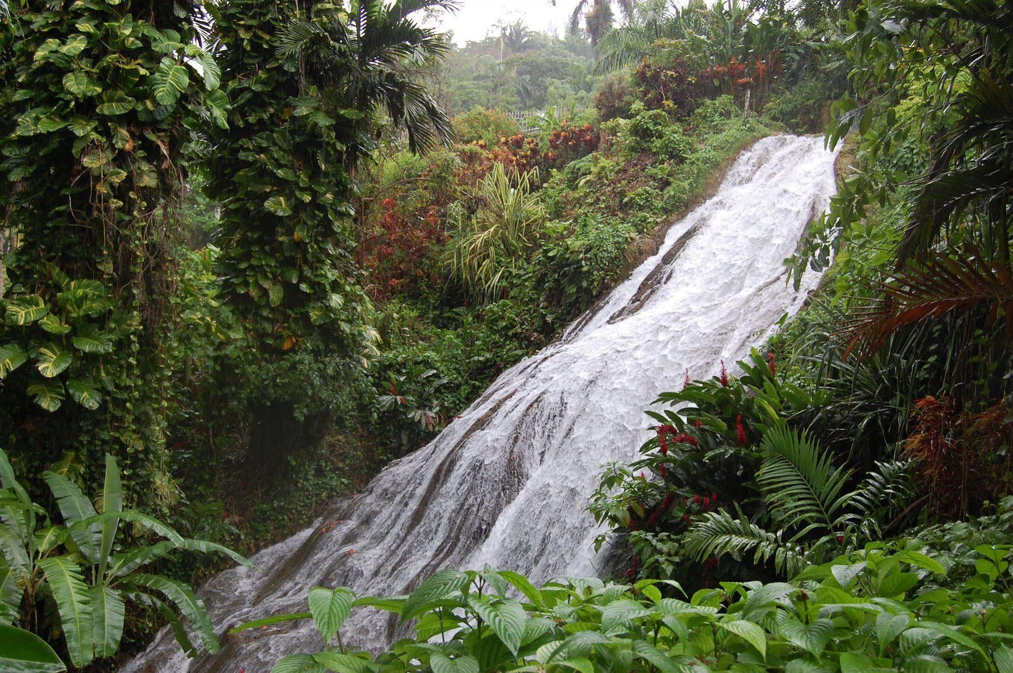 Inn At Shaw Park Gardens & Waterfalls Ocho Rios Exterior photo