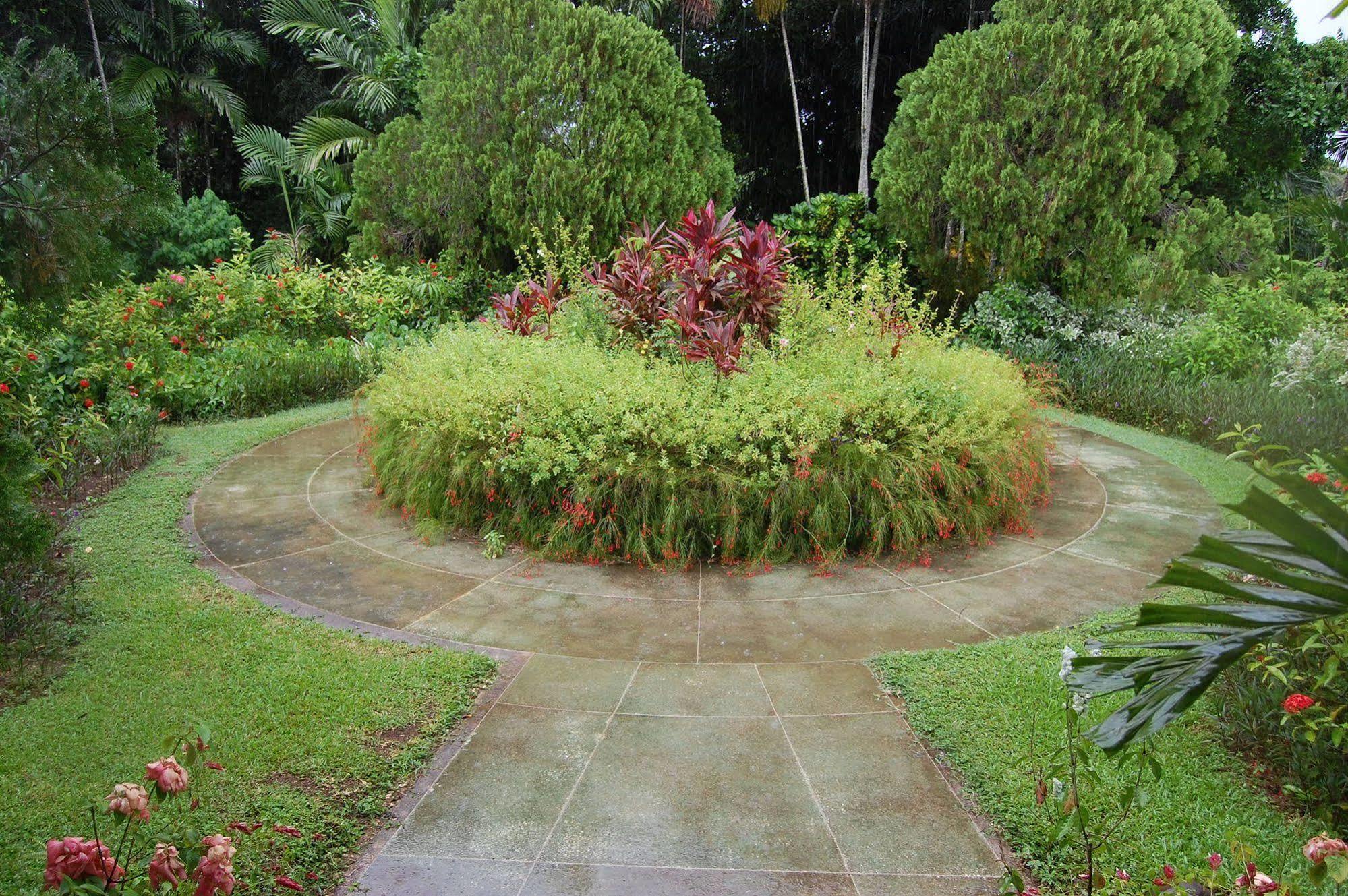 Inn At Shaw Park Gardens & Waterfalls Ocho Rios Exterior photo